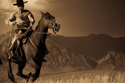 Photography--Black & White-AnimalsRidin The High Country