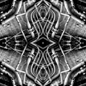 Photography--Black & White-AbstractFeed The Core #2