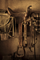 Photography--Color-ArchitectureOphelias Saddle