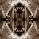 Photography--Black & White-AbstractIt's Not Brain Surgery
