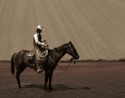 Photography--Black & White-AnimalsWading At The Dunes