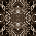 Photography--Black & White-AbstractThe Witches Tapestry