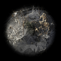 Nuevo Earth