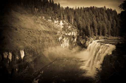 Photography-Floral-Mesa Falls