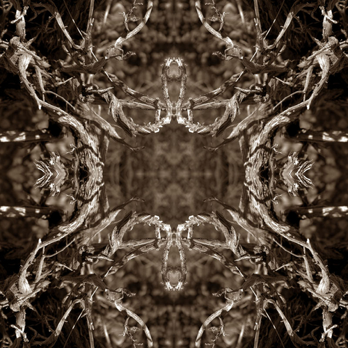 Photography-Abstract-The Witches Tapestry