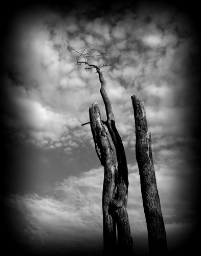 Photography-Landscape-Cloud Scratcher