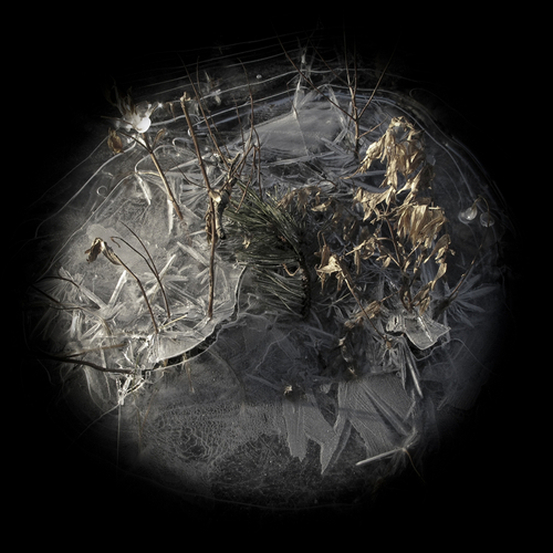 Photography-Landscape-Nuevo Earth