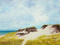Cloudy%20Day%20at%20Sandy%20Neck (thumbnail)
