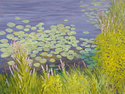 Loostrife%20and%20Water%20Lilies (thumbnail)