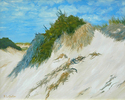 Dune%20at%20Chapin%20Beach (thumbnail)