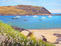Manana%20from%20Swim%20Beach (thumbnail)