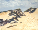 Path%20Through%20the%20Dunes (thumbnail)