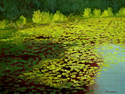 Lily%20Pond%20--%20Morning (thumbnail)