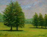 Trees%20at%20Howell%20Farm (thumbnail)