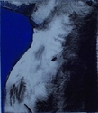 Robert  Knight - Torso #1