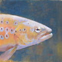 Trout (thumbnail)