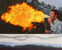 Fire-eater%2FStarlings (thumbnail)