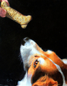 Begging (thumbnail)