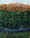Robert Sako - Cannus