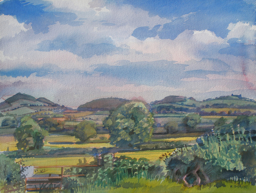Painting-Hills Near Portlaoise