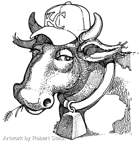 Illustration-Kansas City Cow