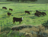 Summer%20Pasture (thumbnail)