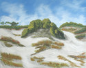 Lordof the Dunes