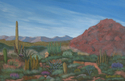 A Desert Garden