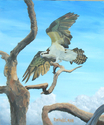 Osprey Hits The Landing