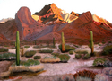 Desert Sunrise