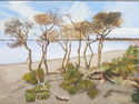 Trees on a Sandy Shore