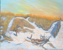 The Driftwood, the Dunes, the Snow....