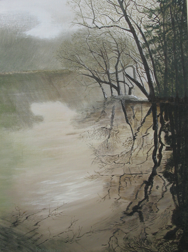 Shadows on the Creek