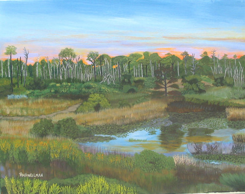Marsh at Jona Dickinson State Park 1