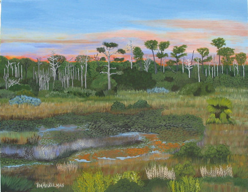 Marsh at Jona Dickinson Sate Park 2