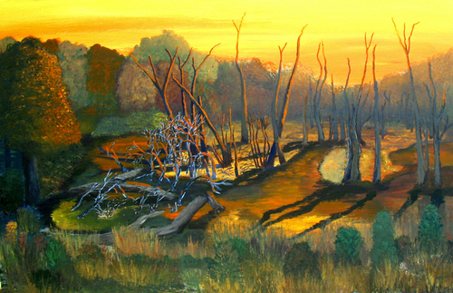 Last Light on the Marsh