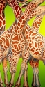 Necking (thumbnail)