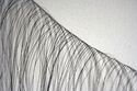 hair mare (detail)