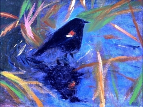 Painting-Animals-Tricolor Blackbird in Marsh