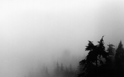 Photography-Landscape-Misty Mountain