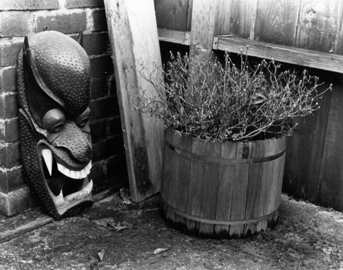 Photography-Figurative-Patio Protection