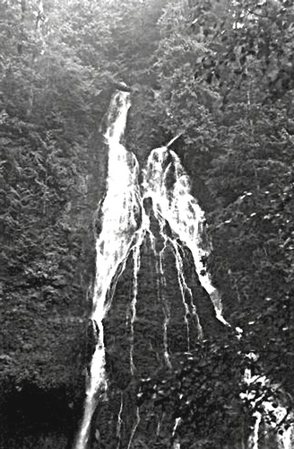 Photography-Landscape-Cascades Hiking 5