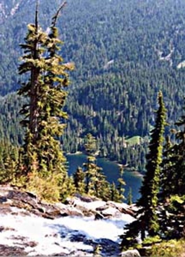 Photography-Landscape-View of Trout Lake