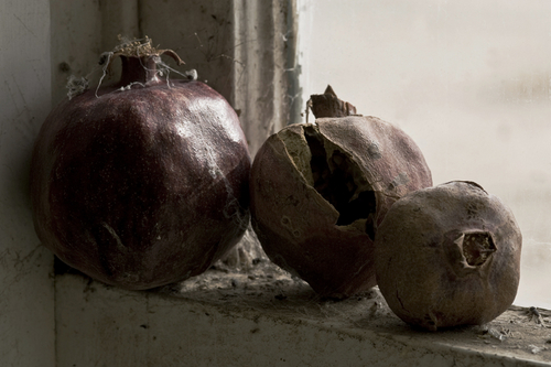 Photography-Still Life-Yerma Window