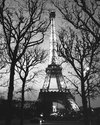 Roderick Lyons - Eifel at Night
