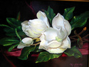 Painting--Oil-Still LifeMagnolias
