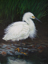 Painting--Oil-LandscapeMarshland Beauty