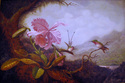 Painting--Oil-BotanicalCopy- Martin Johnson Heade
