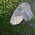 Painting--Oil-LandscapePreening Time