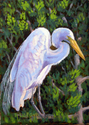 Painting--Oil-LandscapeSentry